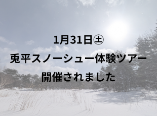 1月31日兎平スノーシュー体験が開催されました‼ サムネイル